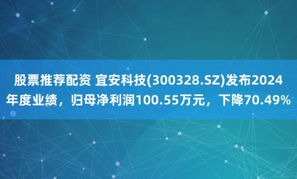 股票推荐配资 宜安科技(300328.SZ)发布2024年度业绩，归母净利润100.55万元，下降70.49%