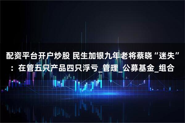 配资平台开户炒股 民生加银九年老将蔡晓“迷失”：在管五只产品四只浮亏_管理_公募基金_组合