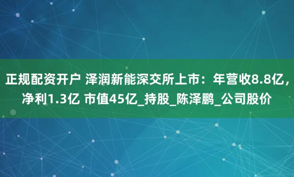 正规配资开户 泽润新能深交所上市：年营收8.8亿，净利1.3亿 市值45亿_持股_陈泽鹏_公司股价
